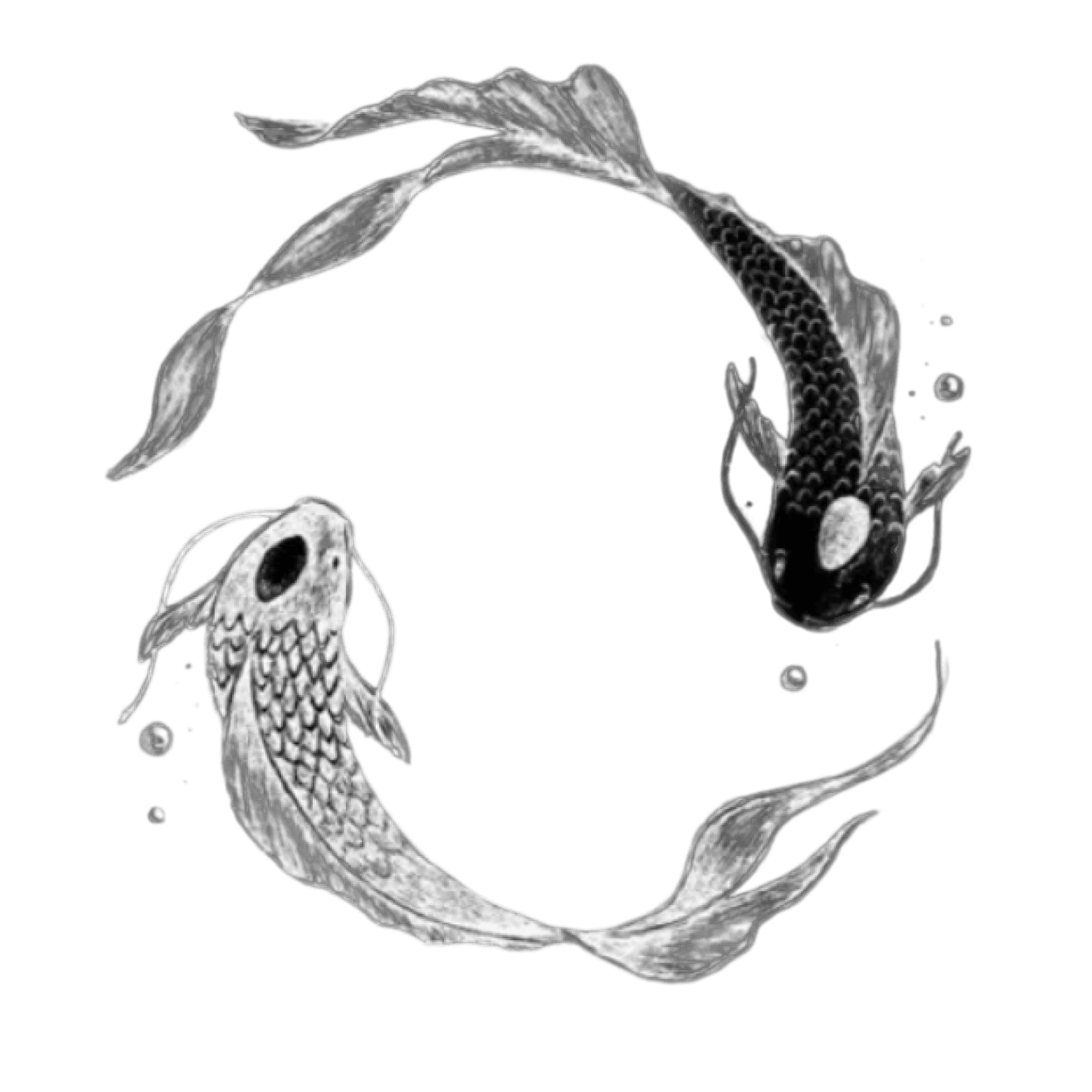 Yin Yang